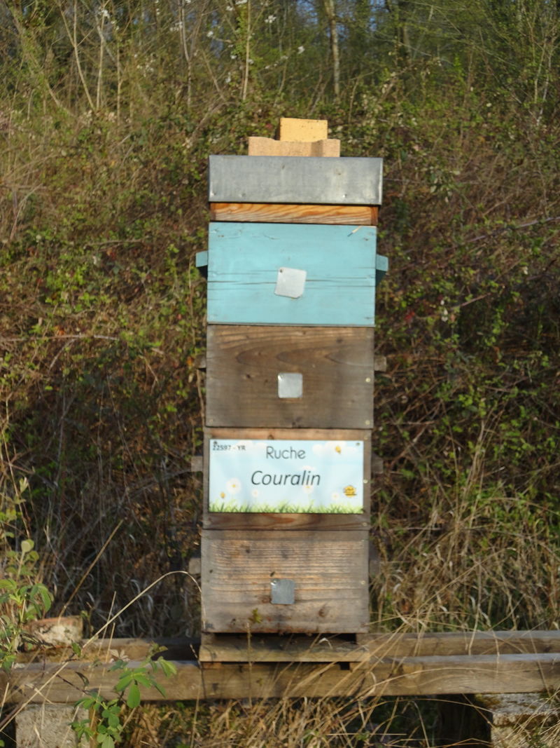 La ruche Couralin