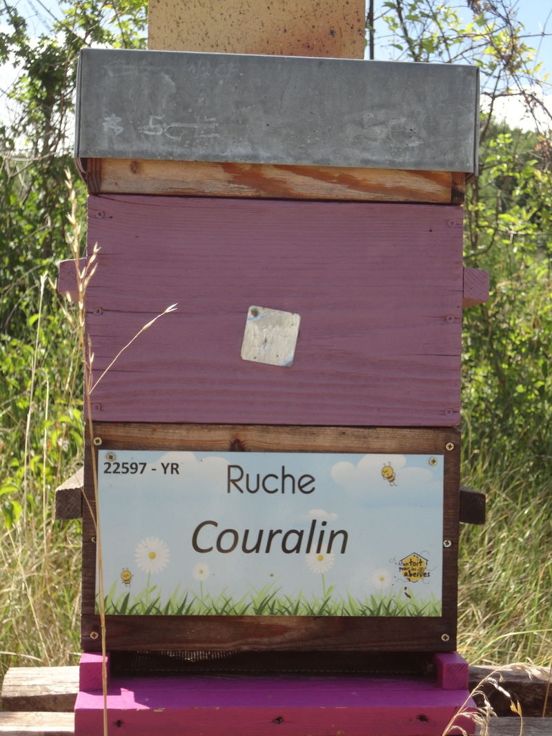 La ruche Couralin