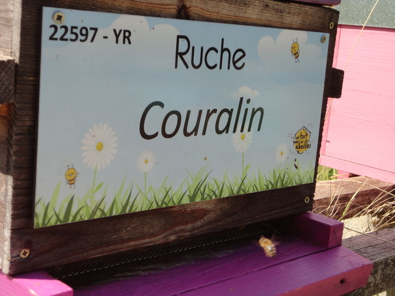 La ruche Couralin