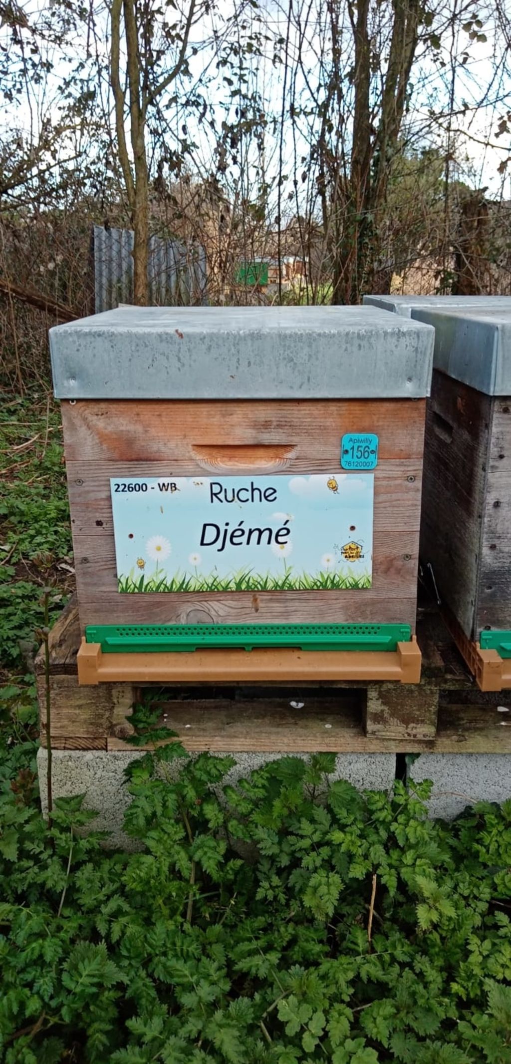 La ruche Djemé