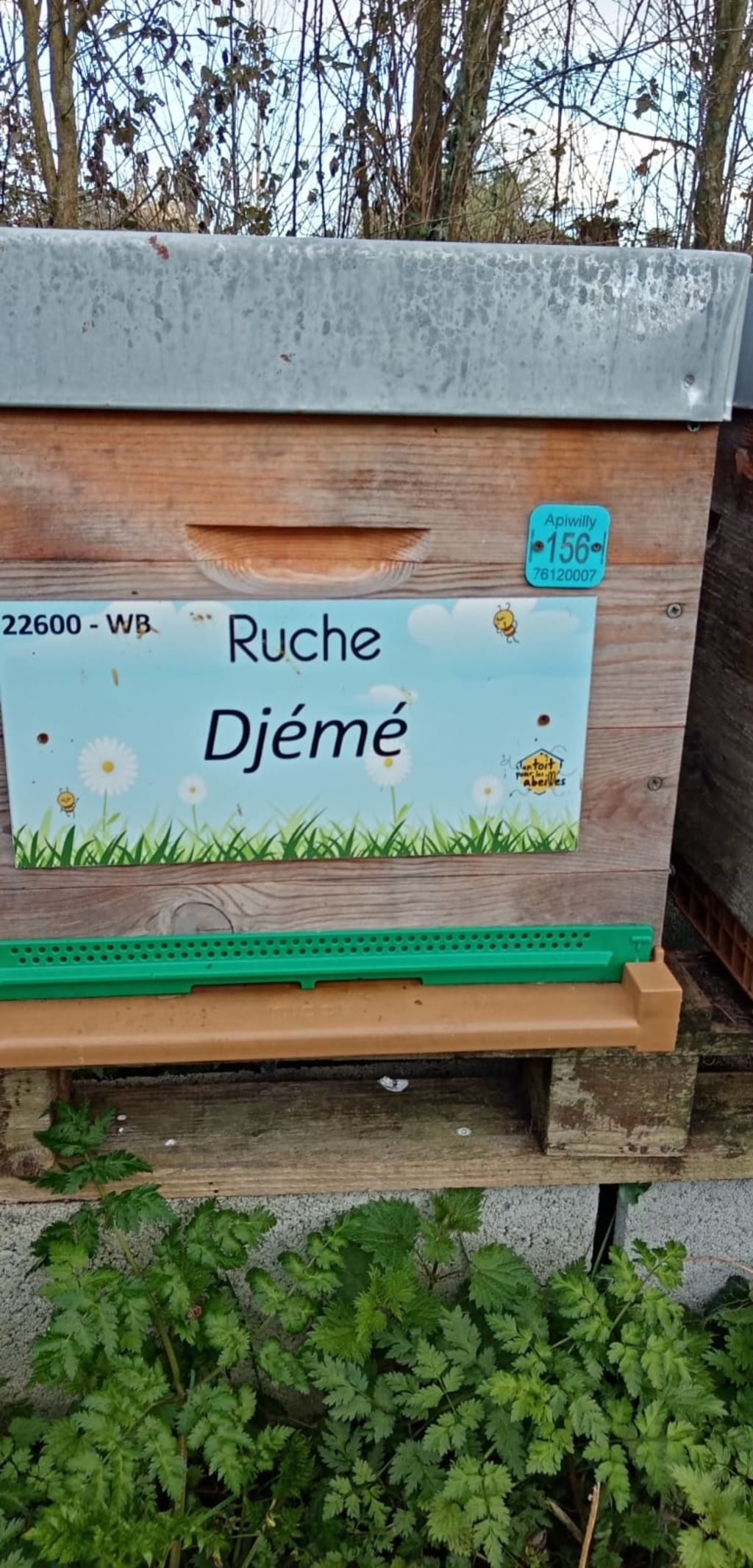 La ruche Djemé