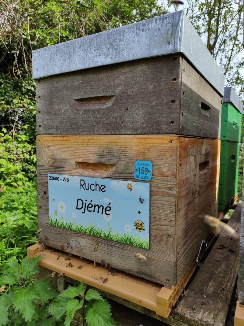 La ruche Djemé