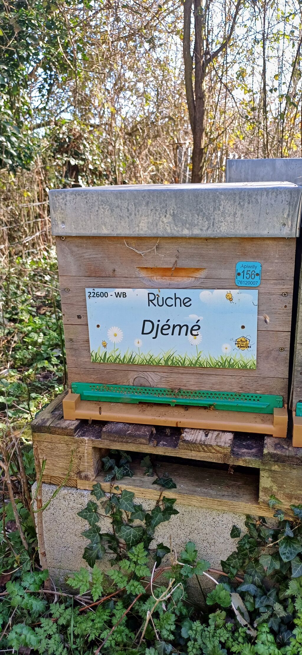La ruche Djemé
