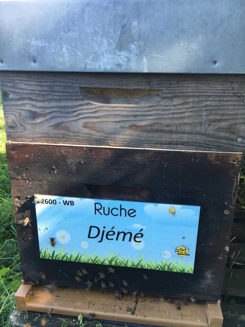 La ruche Djemé