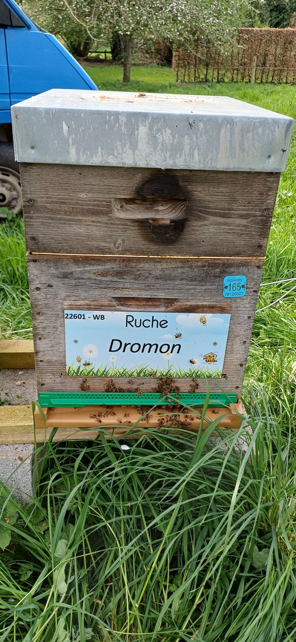 La ruche Dromon