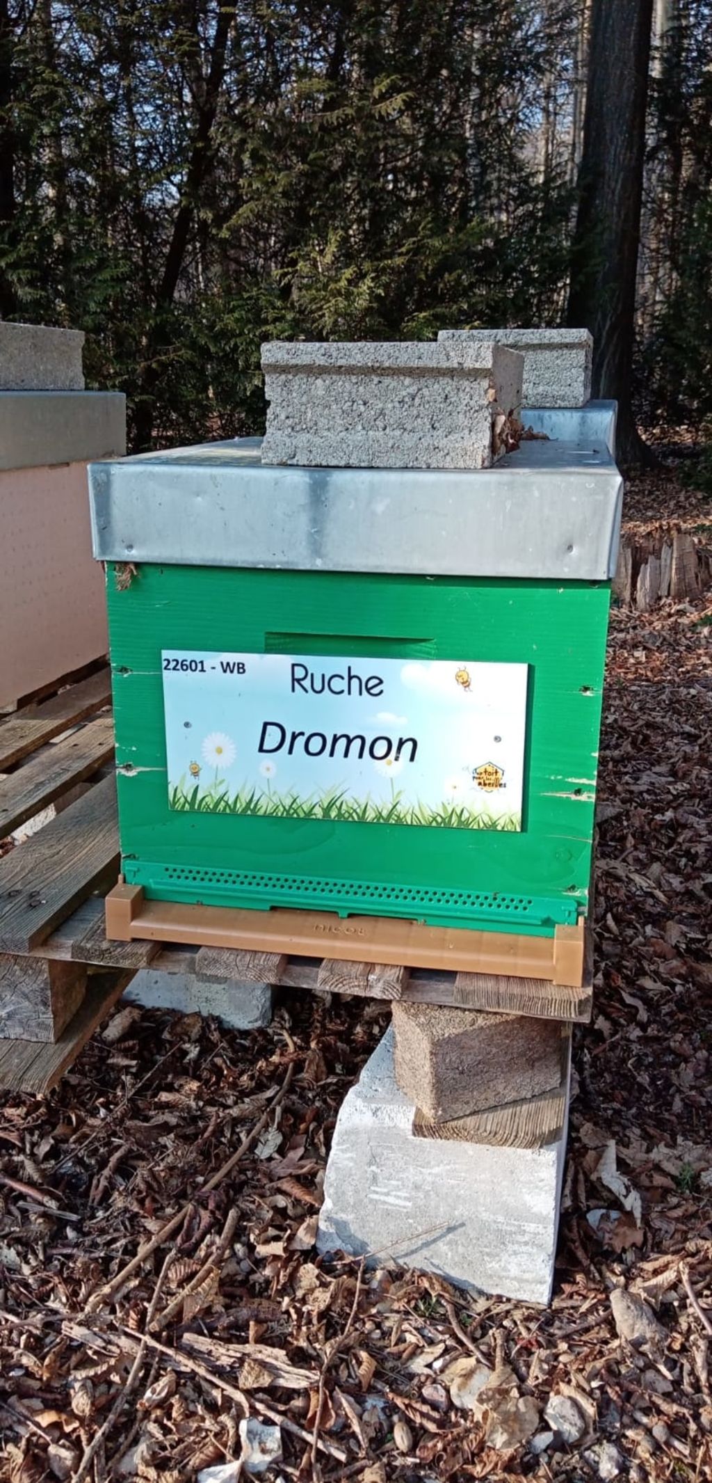 La ruche Dromon