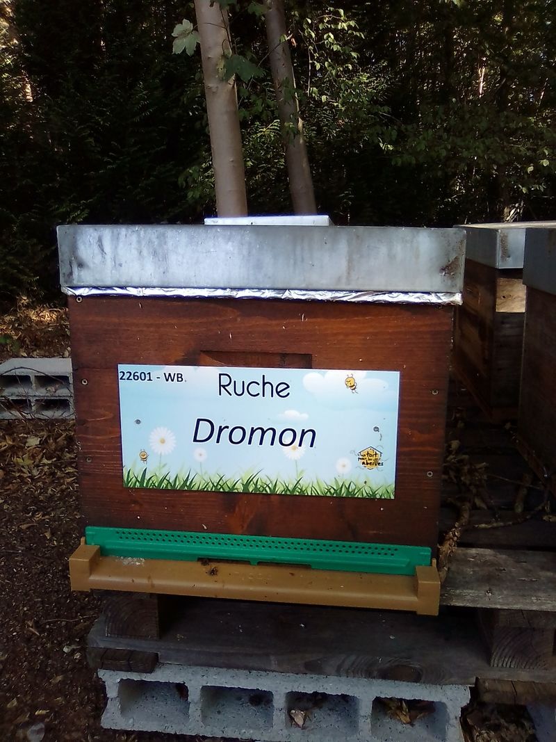 La ruche Dromon