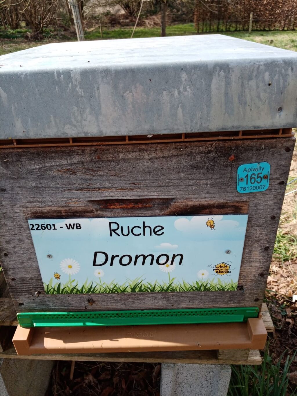 La ruche Dromon