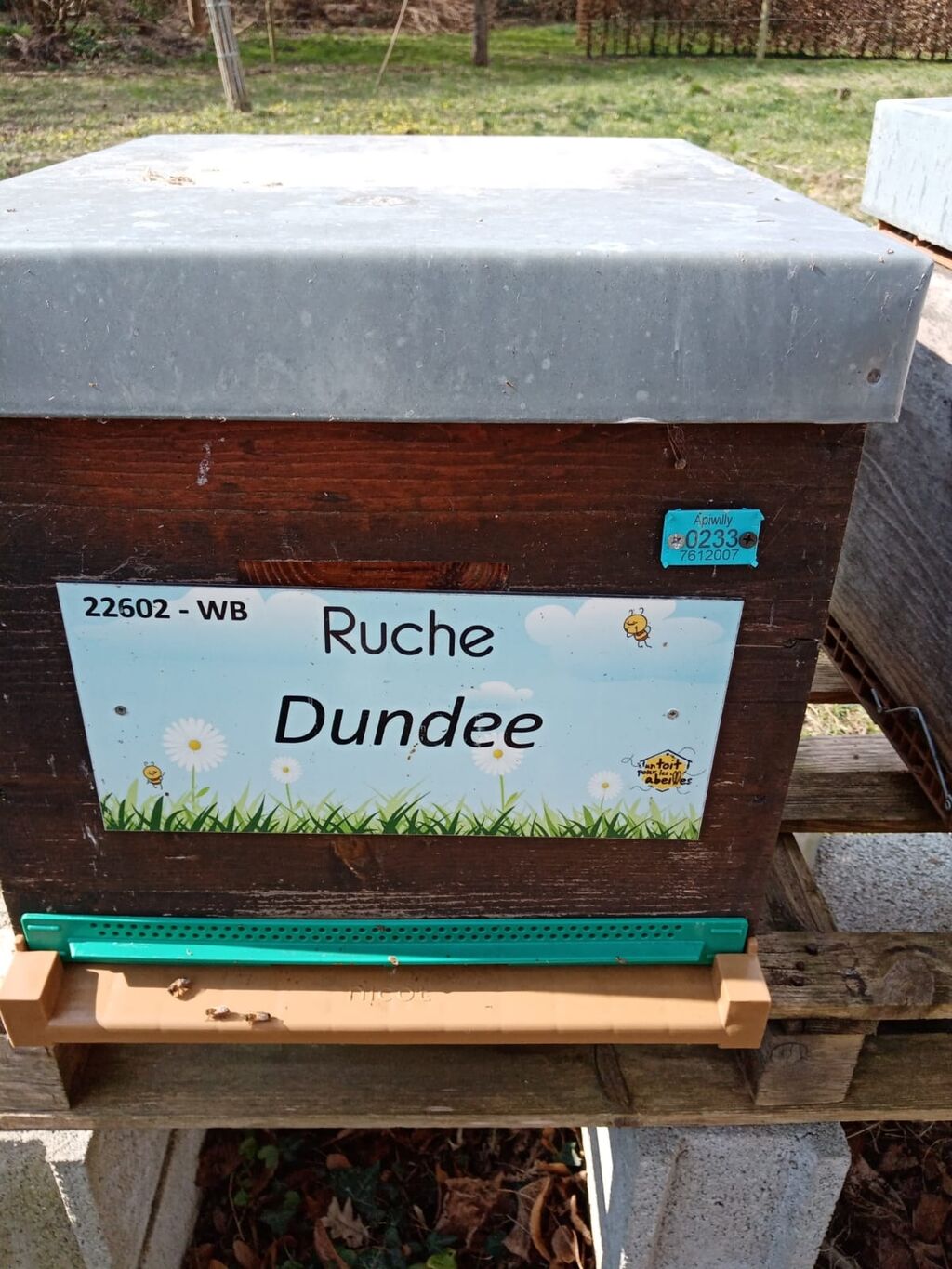 La ruche Dundee