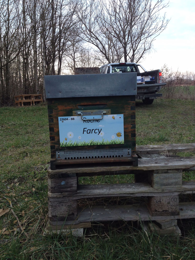 La ruche Farcy