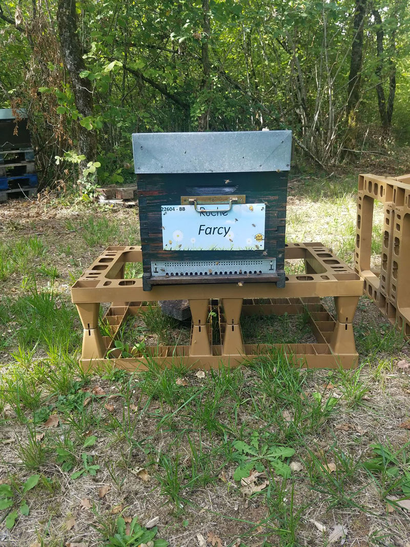 La ruche Farcy
