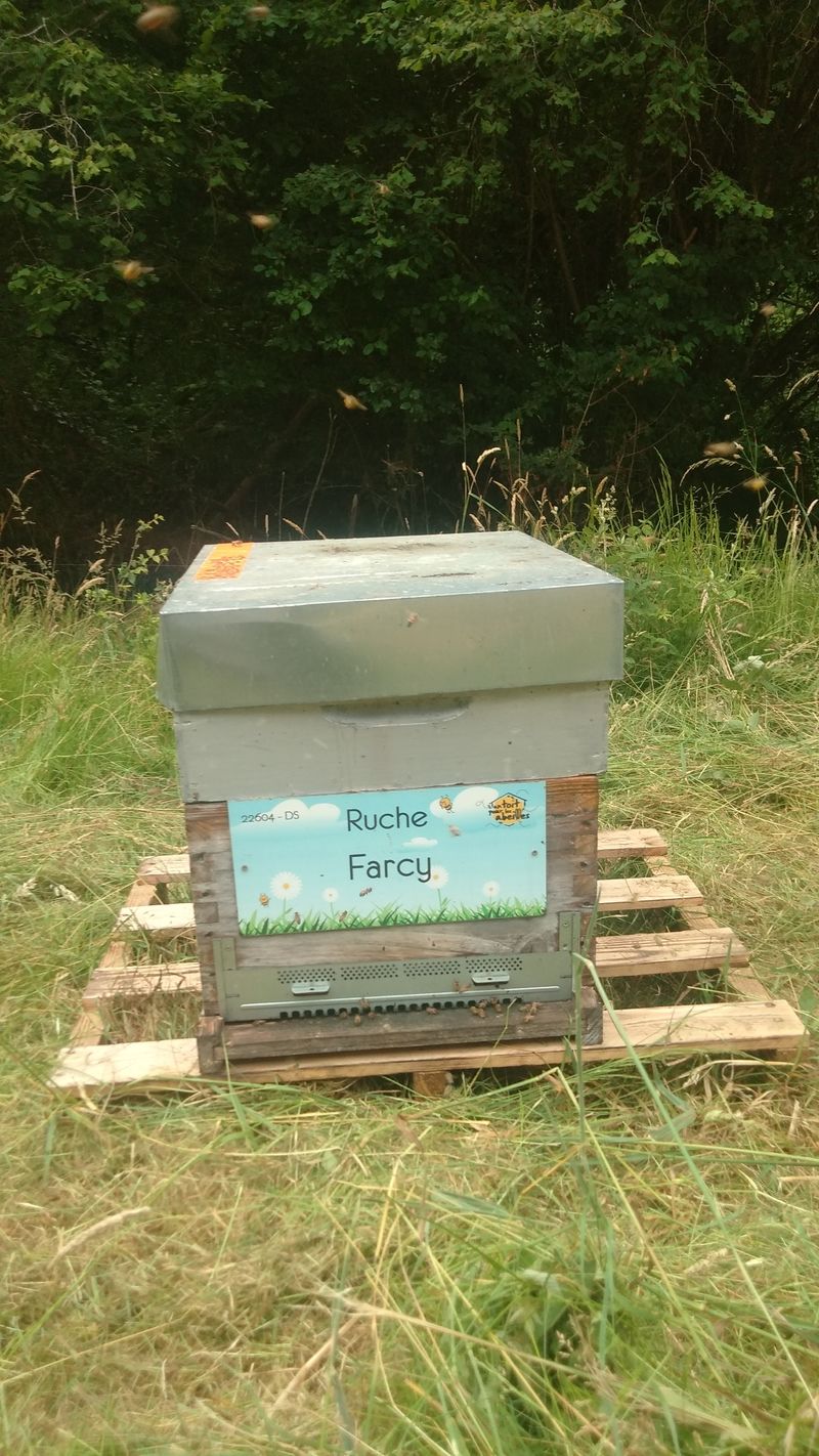 La ruche Farcy