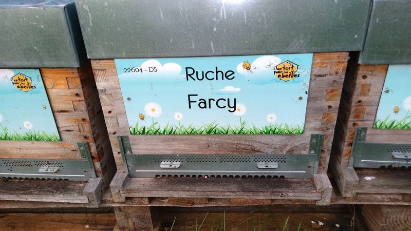 La ruche Farcy