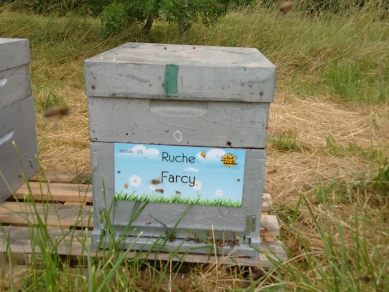 La ruche Farcy