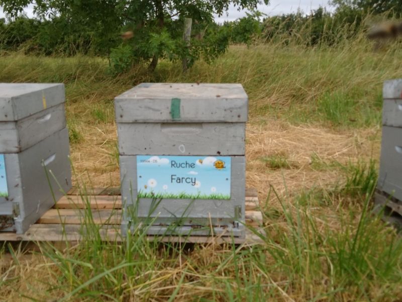 La ruche Farcy