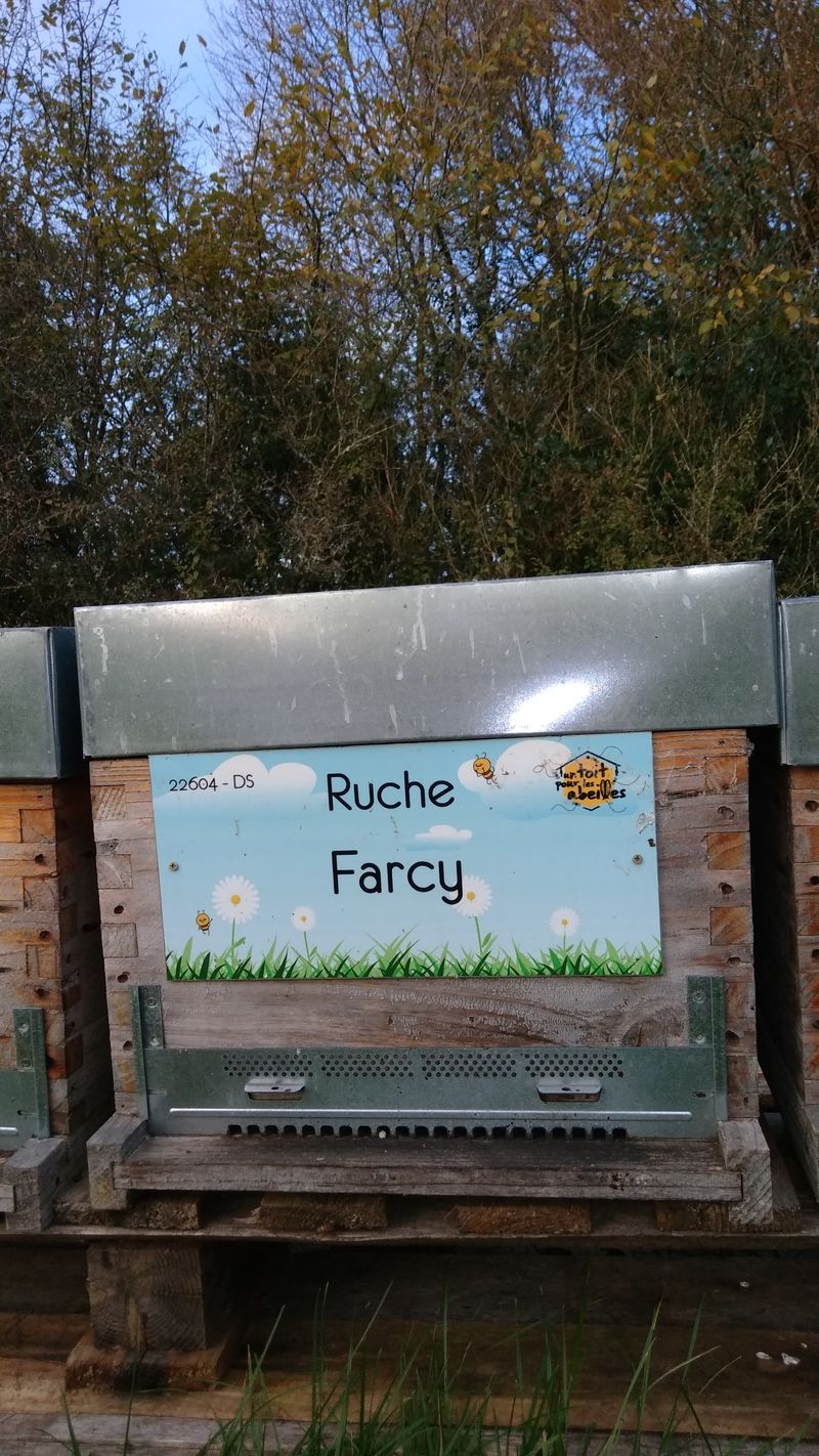 La ruche Farcy