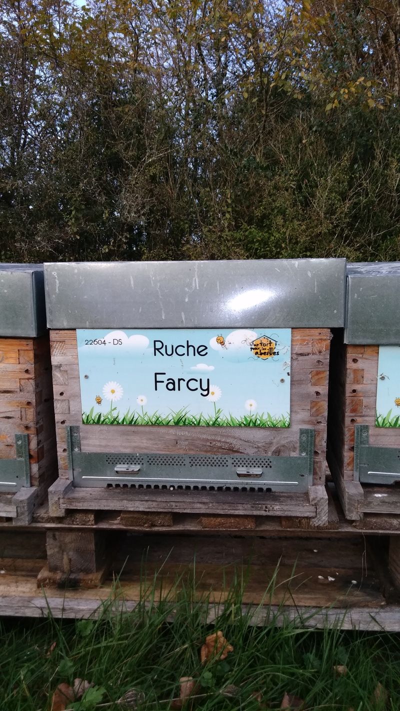 La ruche Farcy