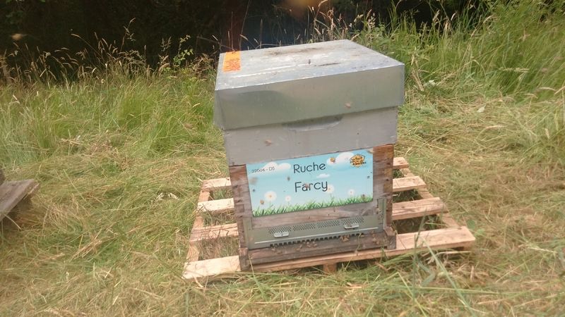 La ruche Farcy