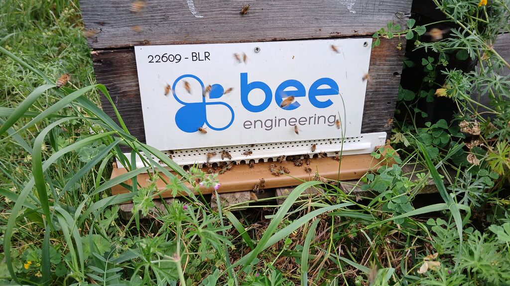 La ruche Bee engineering