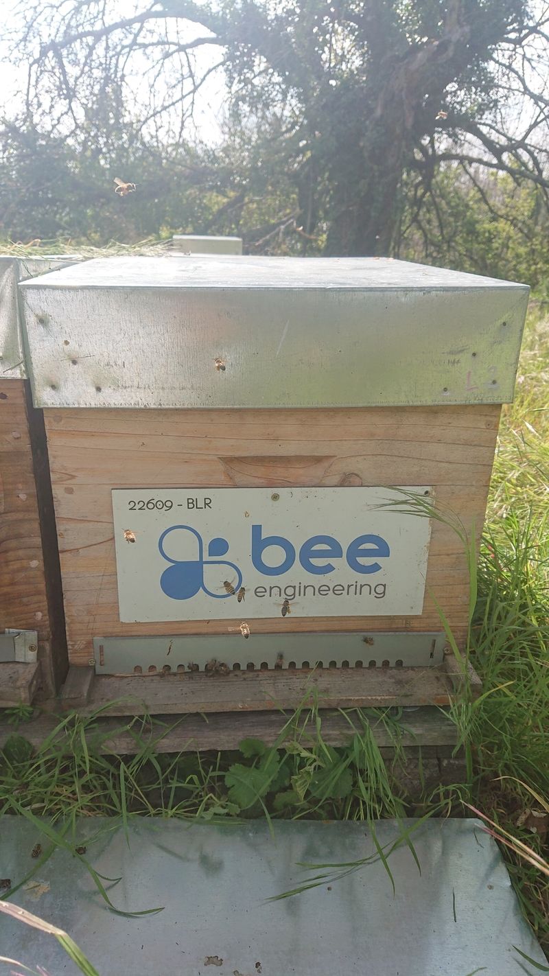 La ruche Bee engineering