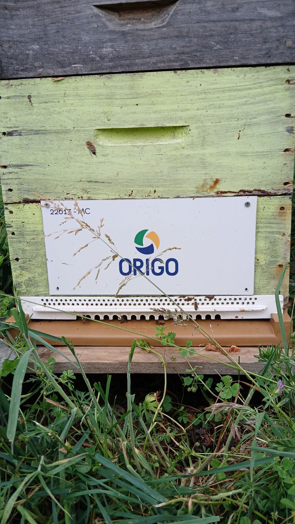 La ruche Origo