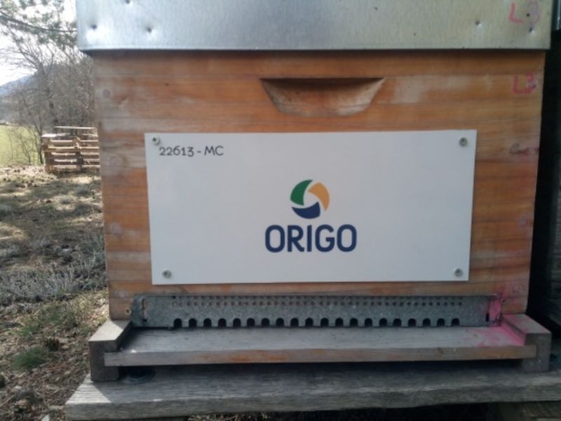 La ruche Origo