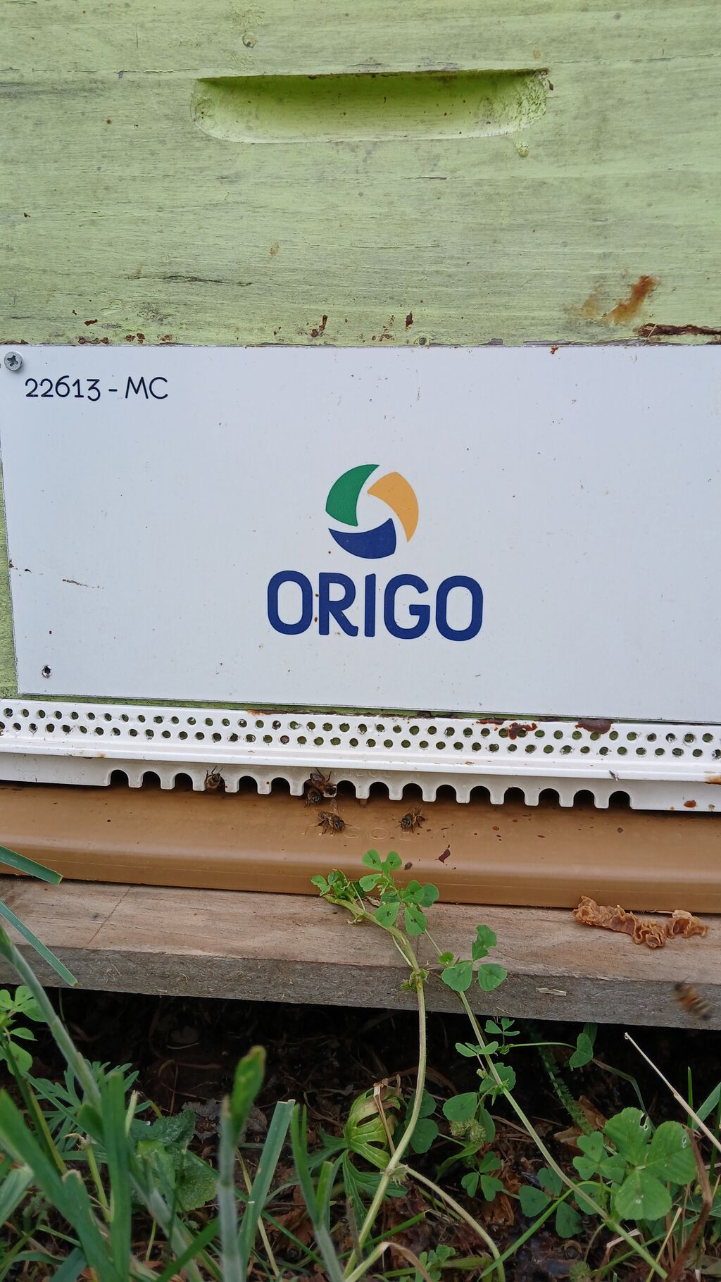 La ruche Origo