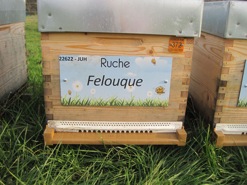 La ruche
