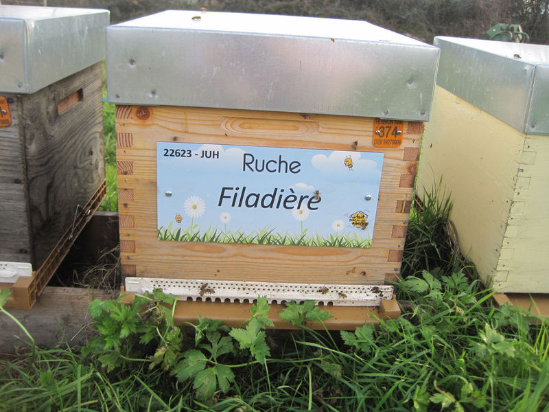 La ruche