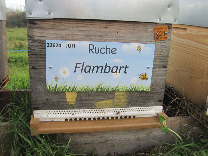 La ruche Flambart