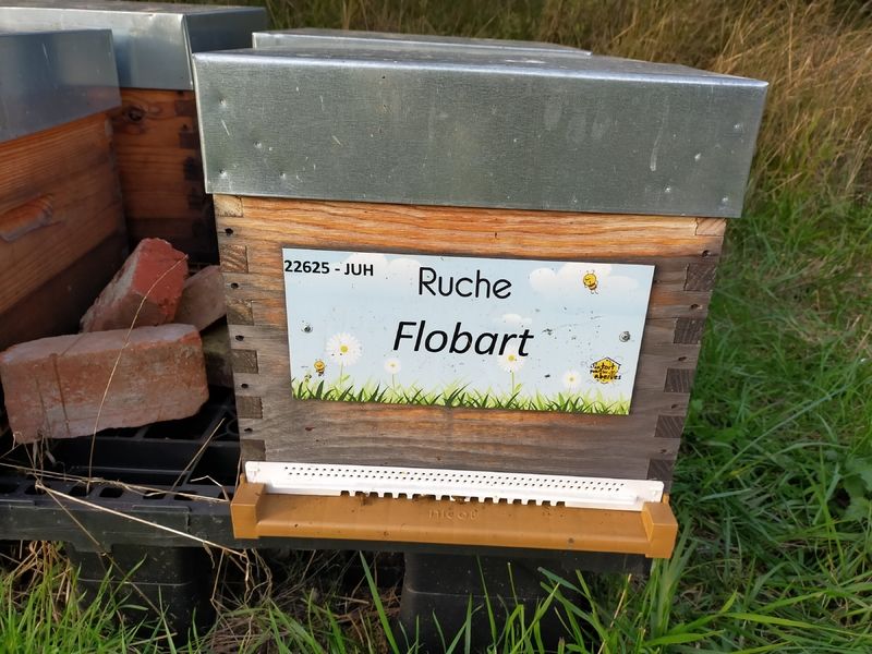 La ruche Flobart