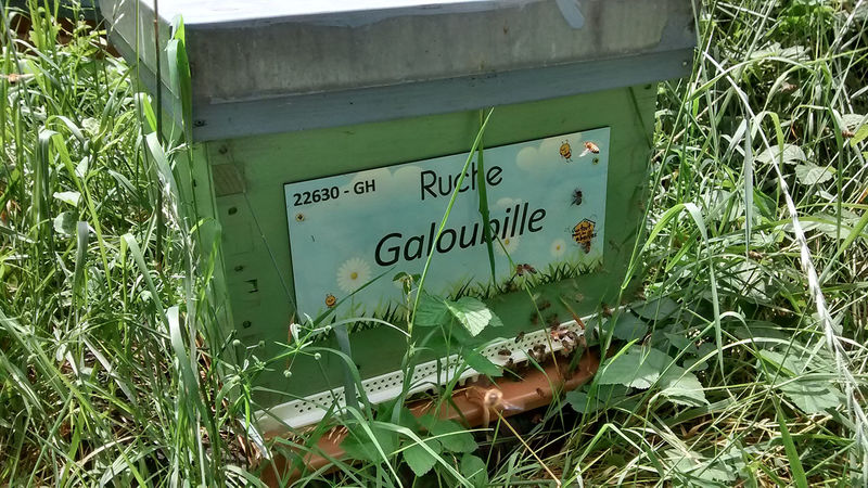 La ruche
