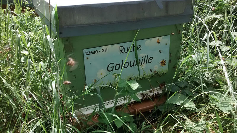 La ruche Galoubille