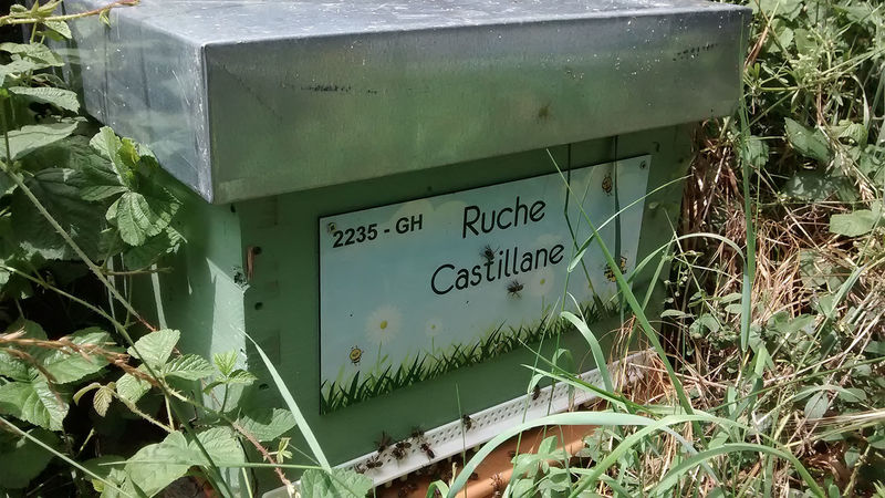 La ruche Galoubille