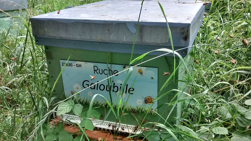 La ruche Galoubille