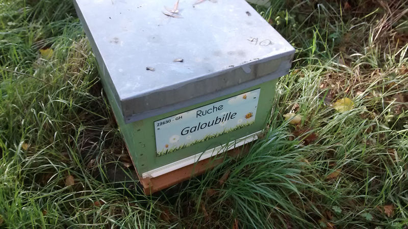 La ruche Galoubille