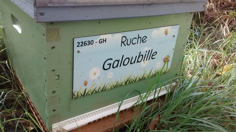 La ruche Galoubille