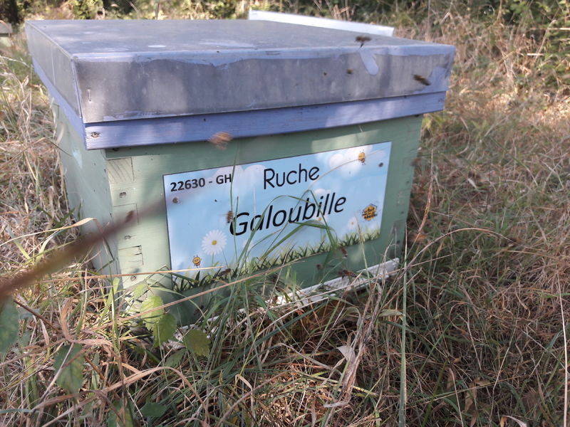 La ruche Galoubille