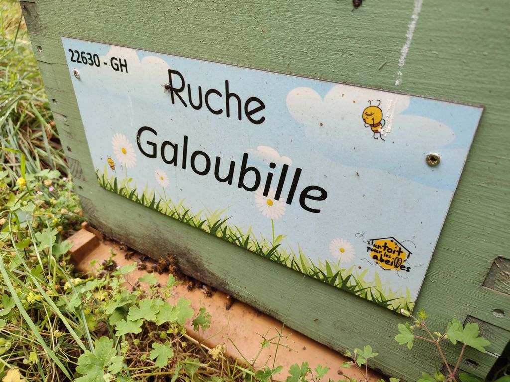 La ruche Galoubille