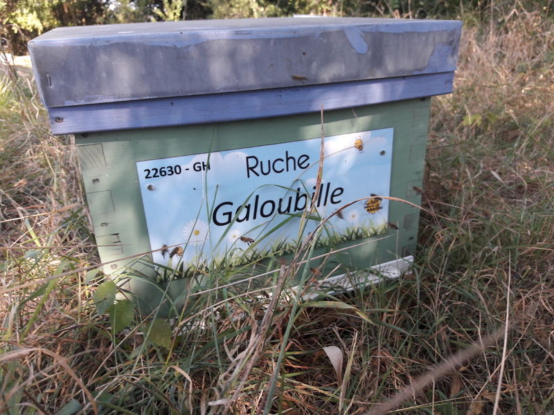 La ruche Galoubille