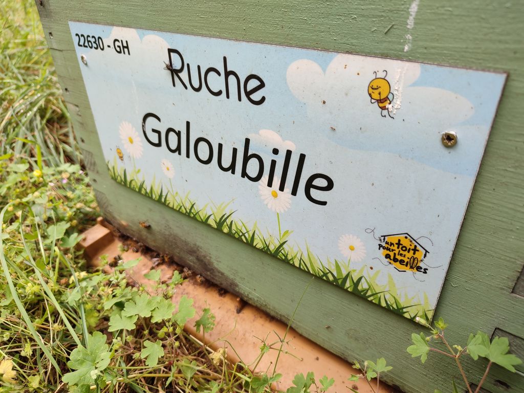 La ruche Galoubille