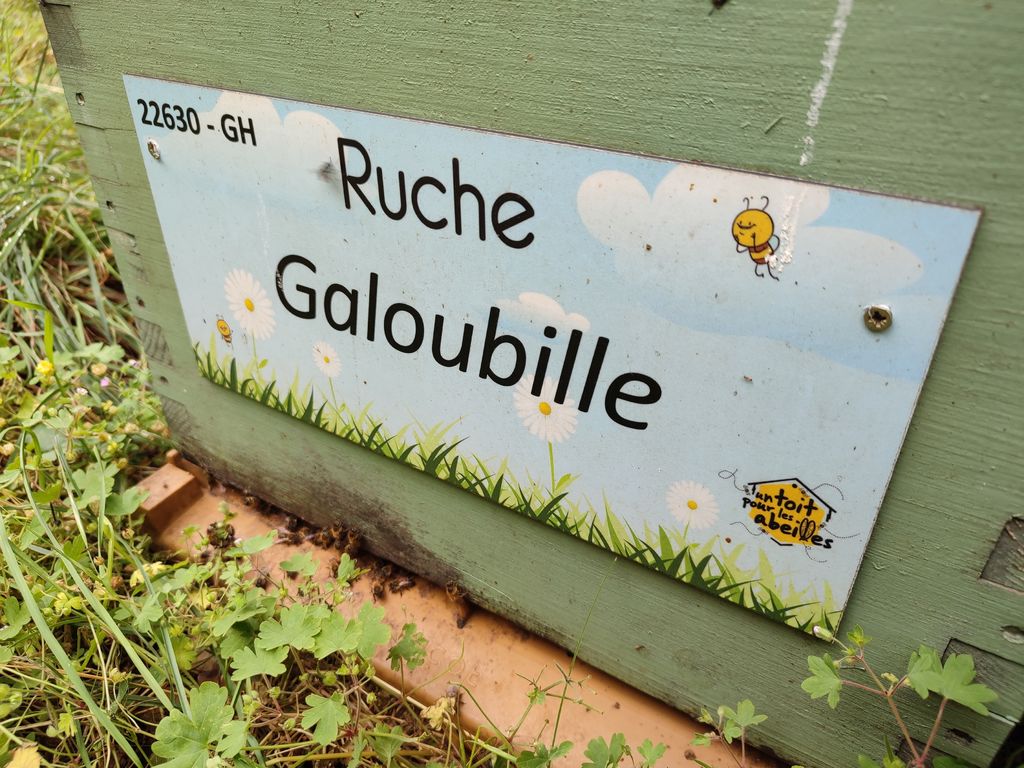 La ruche Galoubille