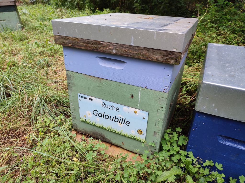 La ruche Galoubille