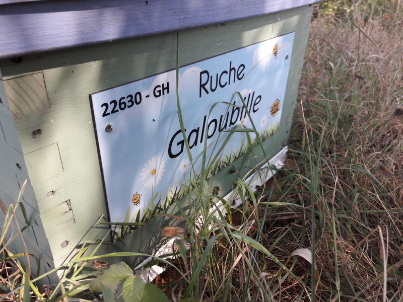 La ruche Galoubille