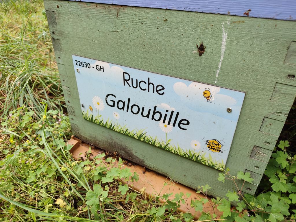 La ruche Galoubille