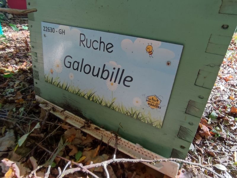 La ruche Galoubille