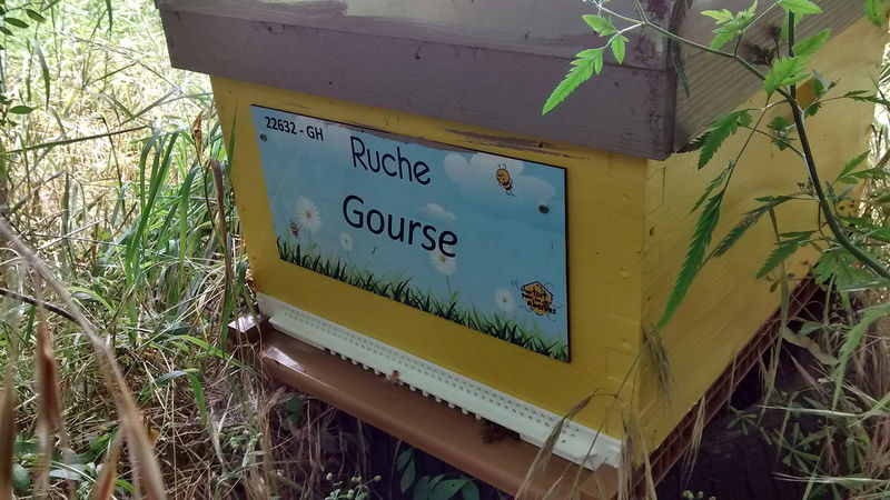 La ruche