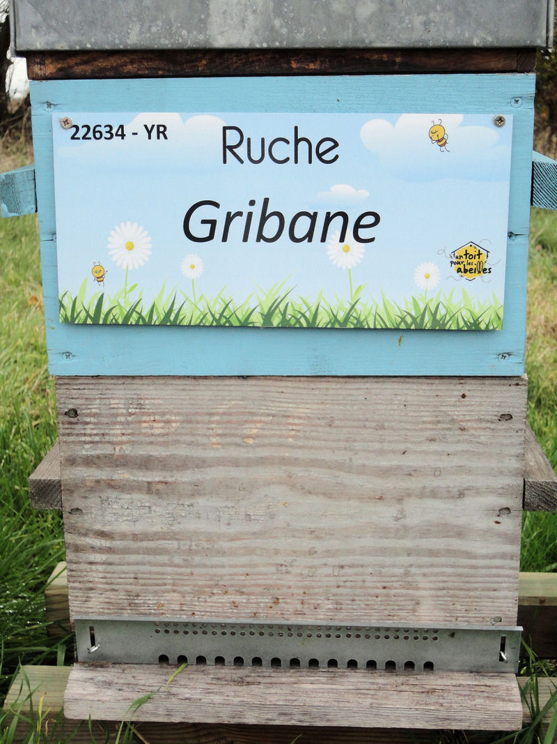 La ruche
