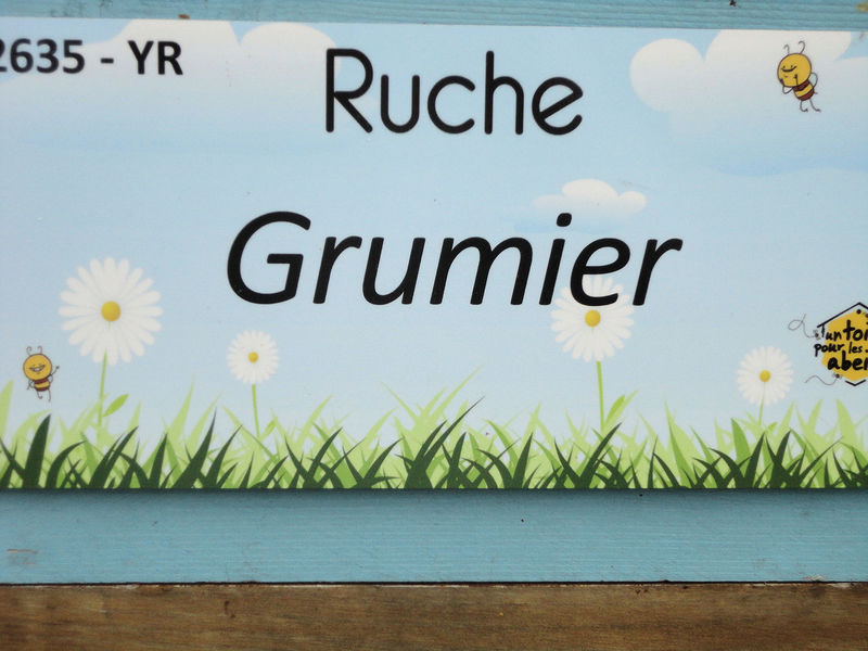 La ruche Grumier