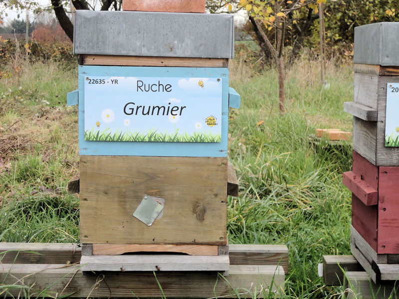 La ruche Grumier
